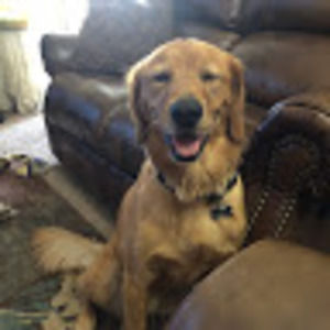 Meet your Posher, Deborah